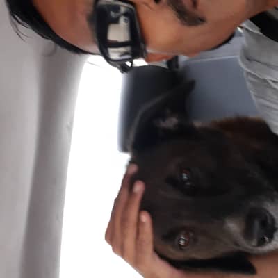 Navin