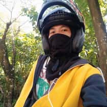 litz
