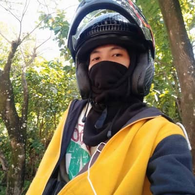 litz