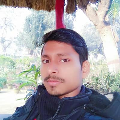 Saleem