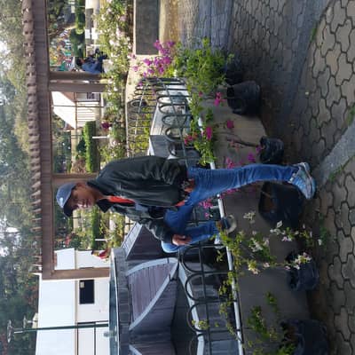 Jhearo