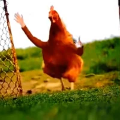 God