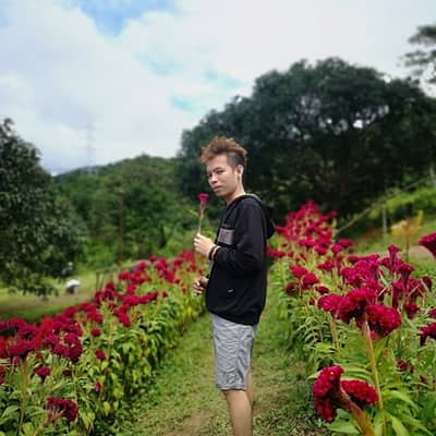 Mark