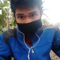 mark