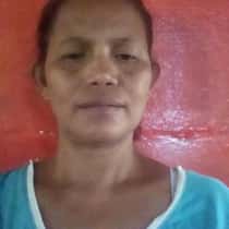 elva