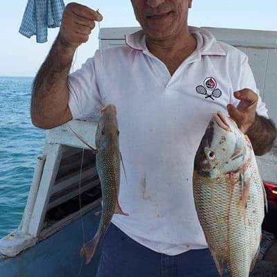 silverbream11