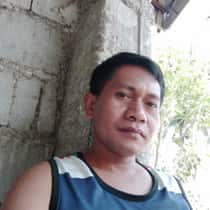 Rutche dela cerna nebria
