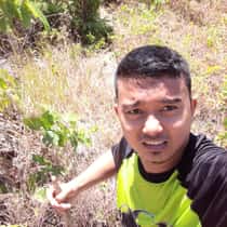 phexson