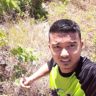 phexson
