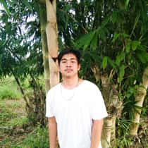 David