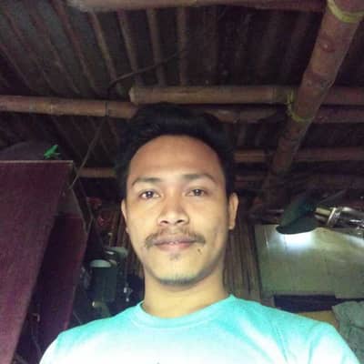 tigas