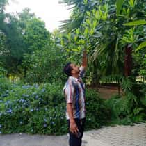 Raaj