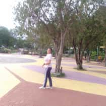 Yol lie