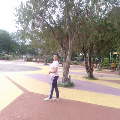 Yol lie