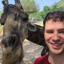 Kolton