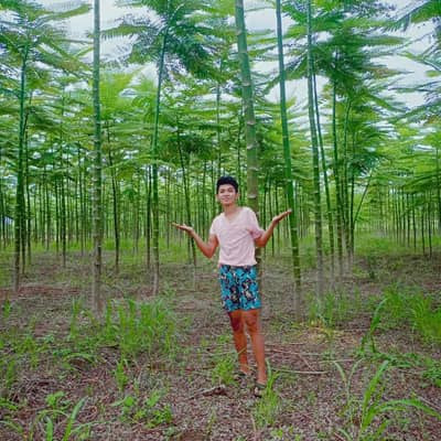 king