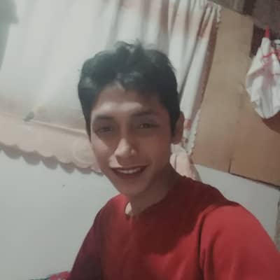 Ronel santiago