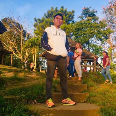 david
