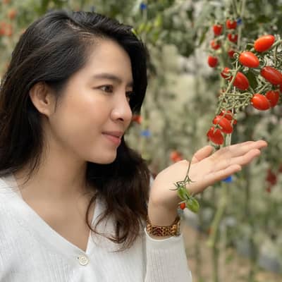 Apinya