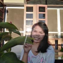 Sunshine