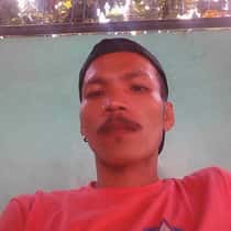 baganjavines