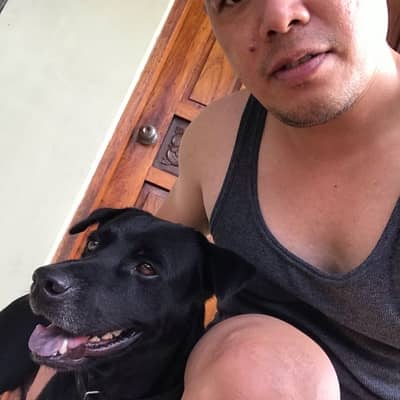 maximus