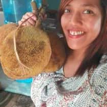 sweetMai
