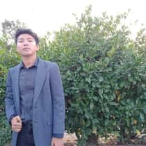 RenRen