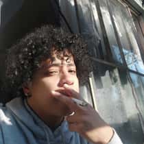 dave
