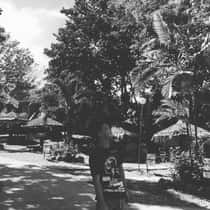 Aaron dela Vega