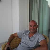 david