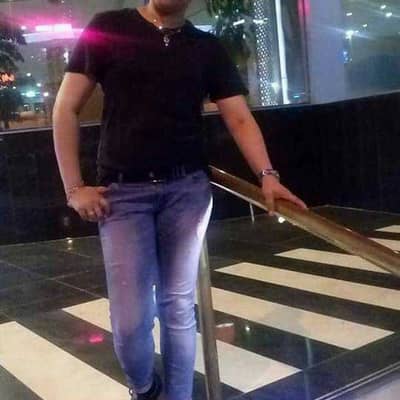 zyll