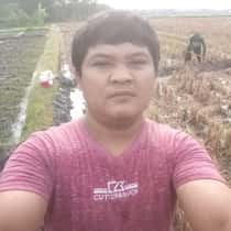 wiyono