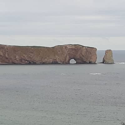 Fénix
