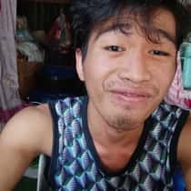 vinel