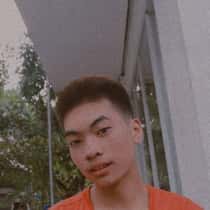 shin