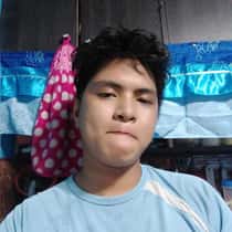 Kams