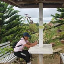 Ilanie