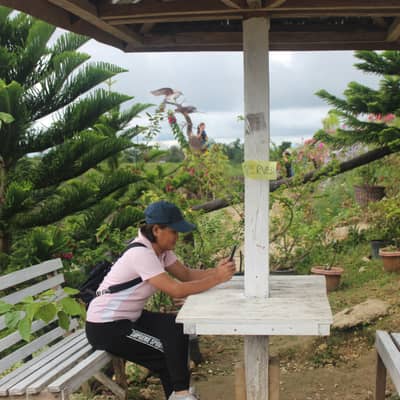Ilanie