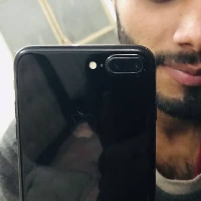 sheikh