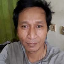 rovy