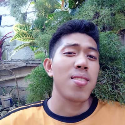 vinz