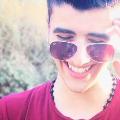 anas elsayed