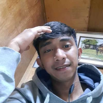 nlayron52