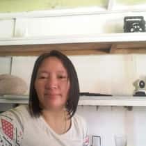 YOLLY