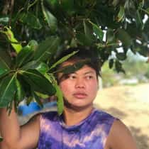 Jay