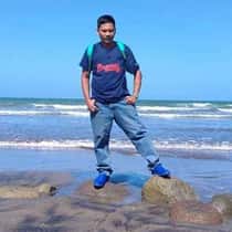 ARDI