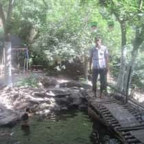 bibo amin