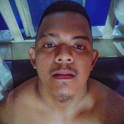mlvn