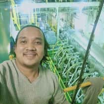 Nonoy